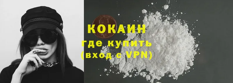 как найти закладки  Камышин  Кокаин 98% 